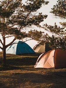 Preview wallpaper camping, tents, trees, rest