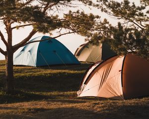 Preview wallpaper camping, tents, trees, rest