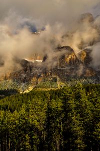 Preview wallpaper canada, banff national park, mountains, fog, grass