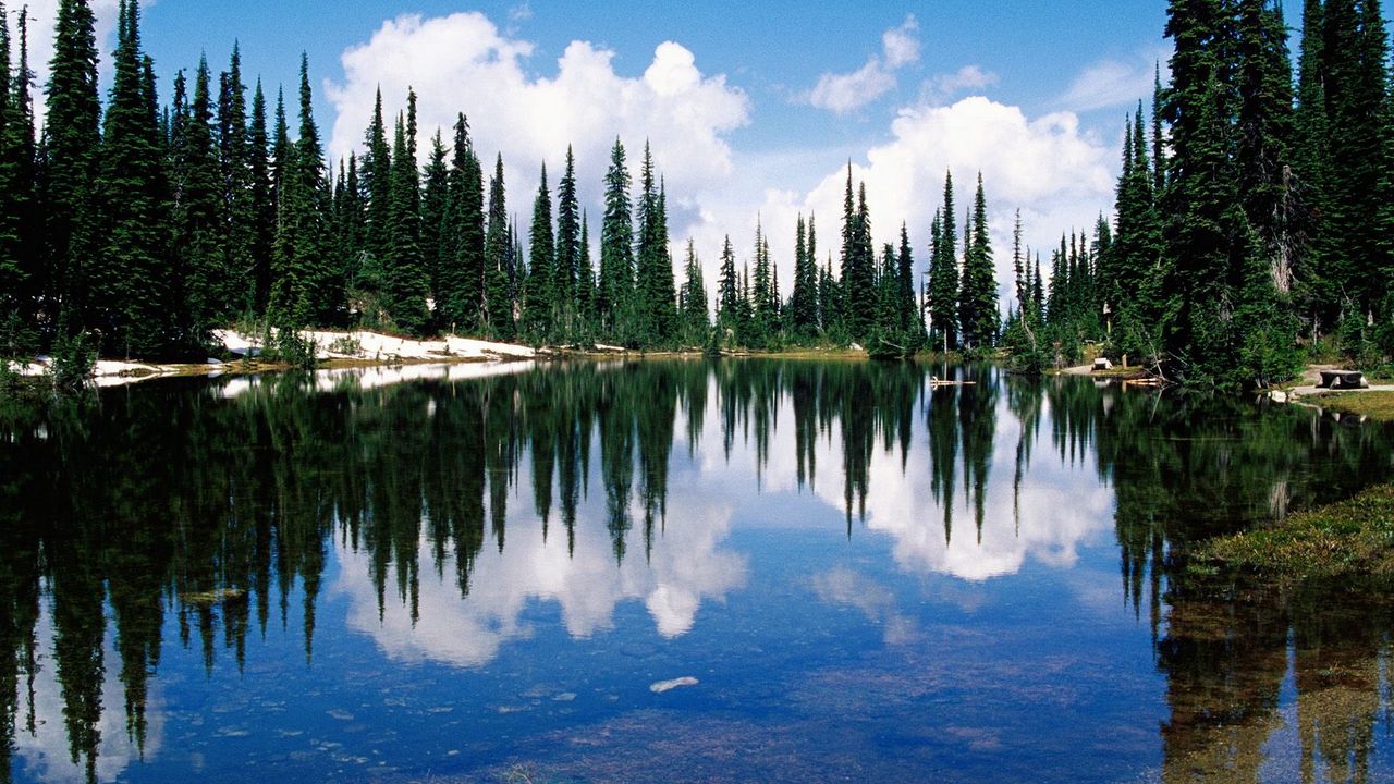 Wallpaper canada, lake, coast, trees, coniferous, water, transparent, reflection