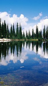 Preview wallpaper canada, lake, coast, trees, coniferous, water, transparent, reflection