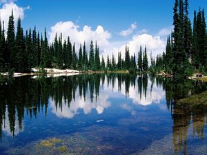 Preview wallpaper canada, lake, coast, trees, coniferous, water, transparent, reflection