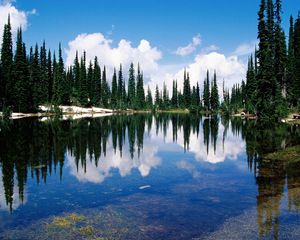 Preview wallpaper canada, lake, coast, trees, coniferous, water, transparent, reflection