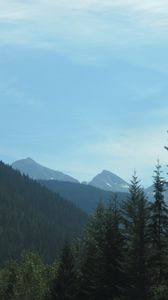 Preview wallpaper canada, mountains, trees, sky