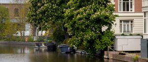 Preview wallpaper canal, water, trees, buildings, ripples