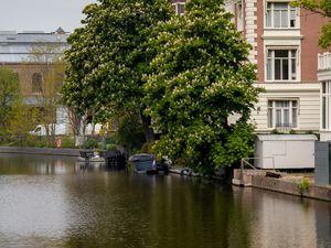 Preview wallpaper canal, water, trees, buildings, ripples