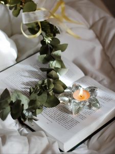 Preview wallpaper candle, branch, book