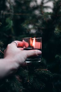Preview wallpaper candle, hand, branches, spruce
