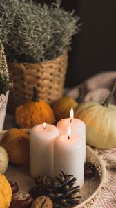 Preview wallpaper candles, flame, halloween, pumpkins, pine cones