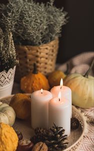 Preview wallpaper candles, flame, halloween, pumpkins, pine cones