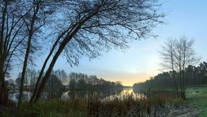 Preview wallpaper canes, coast, lake, evening, twilight, outlines