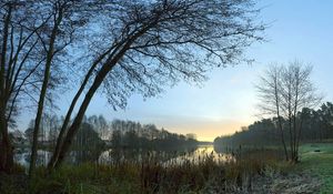 Preview wallpaper canes, coast, lake, evening, twilight, outlines