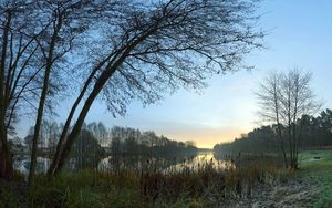 Preview wallpaper canes, coast, lake, evening, twilight, outlines