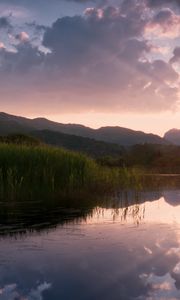 Preview wallpaper canes, lake, sun