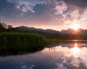 Preview wallpaper canes, lake, sun