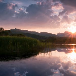 Preview wallpaper canes, lake, sun