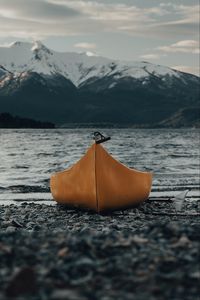 Preview wallpaper canoe, boat, water, front view