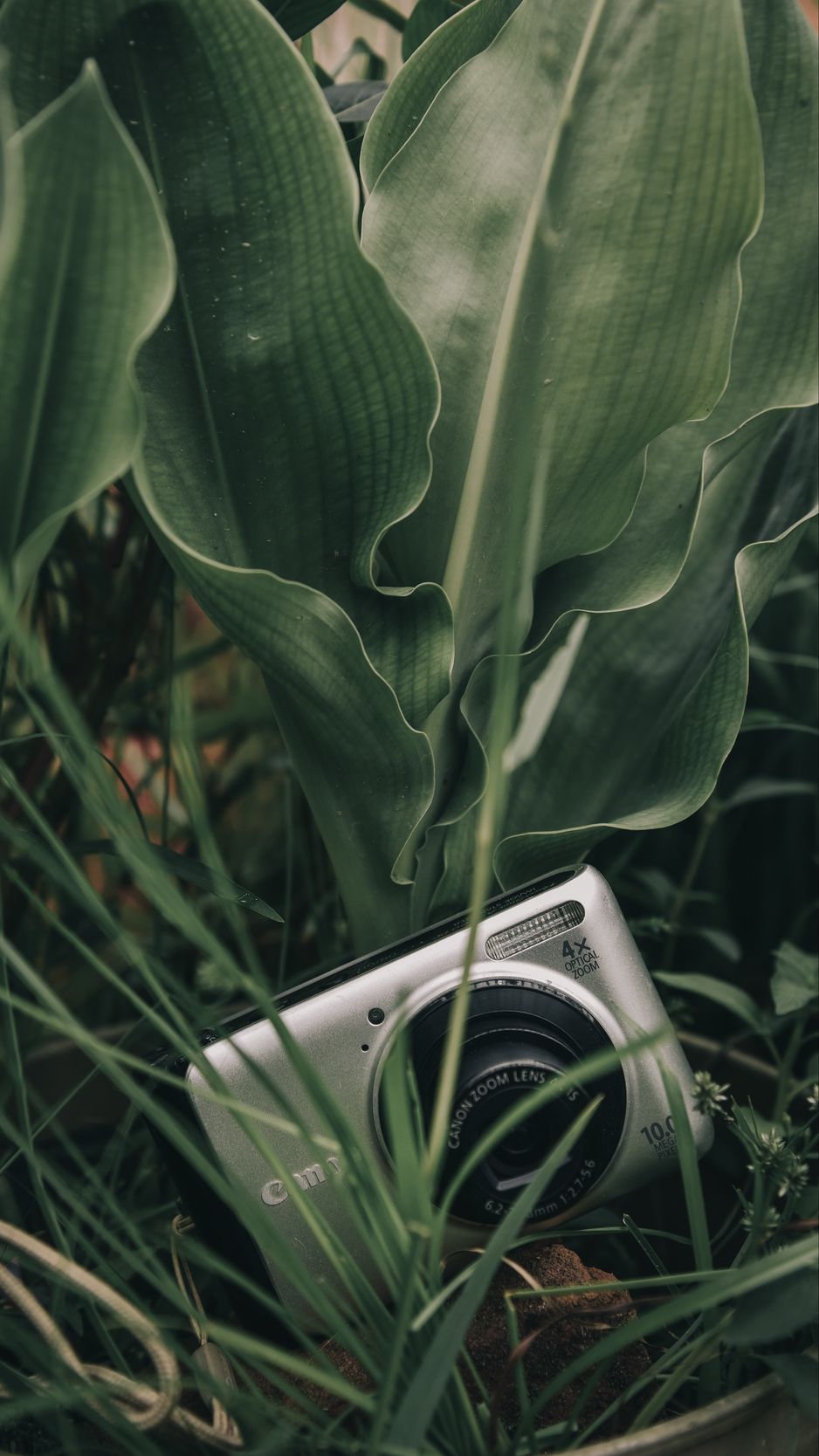 938x1668 Wallpaper canon, camera, technician, photographer