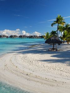Preview wallpaper canopies, chaise lounges, chairs, tropics, palm trees, sand, white, rest, resort, bora-bora, azure