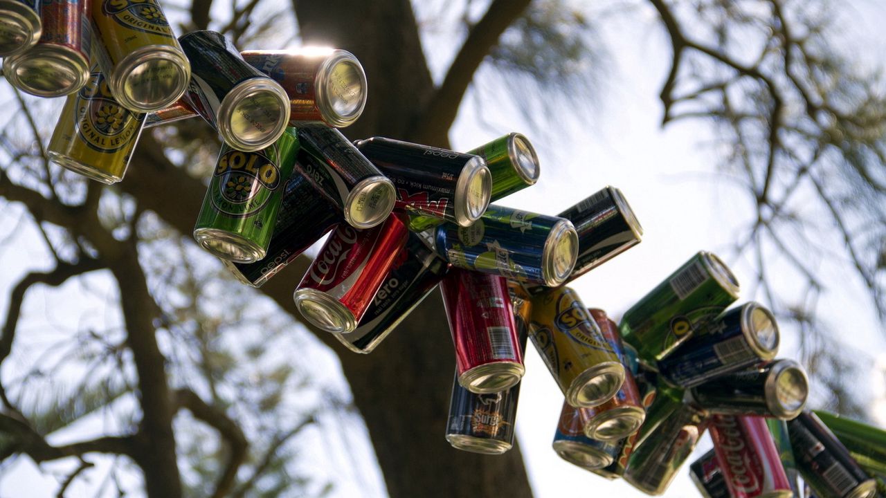 Wallpaper cans, drinks, soda, branch, tree