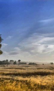 Preview wallpaper canvas, painting, birches, field, dabs