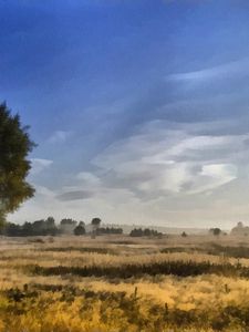 Preview wallpaper canvas, painting, birches, field, dabs