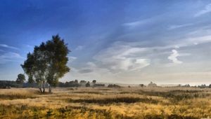 Preview wallpaper canvas, painting, birches, field, dabs