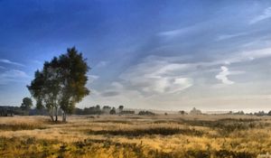 Preview wallpaper canvas, painting, birches, field, dabs