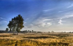 Preview wallpaper canvas, painting, birches, field, dabs