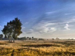 Preview wallpaper canvas, painting, birches, field, dabs