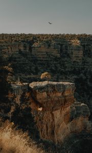 Preview wallpaper canyon, cliff, rocks, trees, landscape