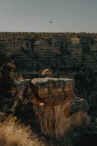 Preview wallpaper canyon, cliff, rocks, trees, landscape