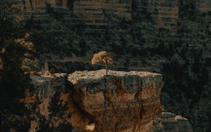 Preview wallpaper canyon, cliff, rocks, trees, landscape