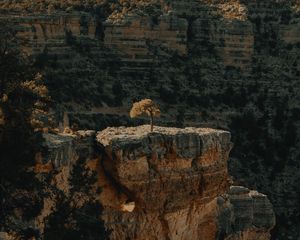 Preview wallpaper canyon, cliff, rocks, trees, landscape