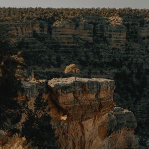 Preview wallpaper canyon, cliff, rocks, trees, landscape