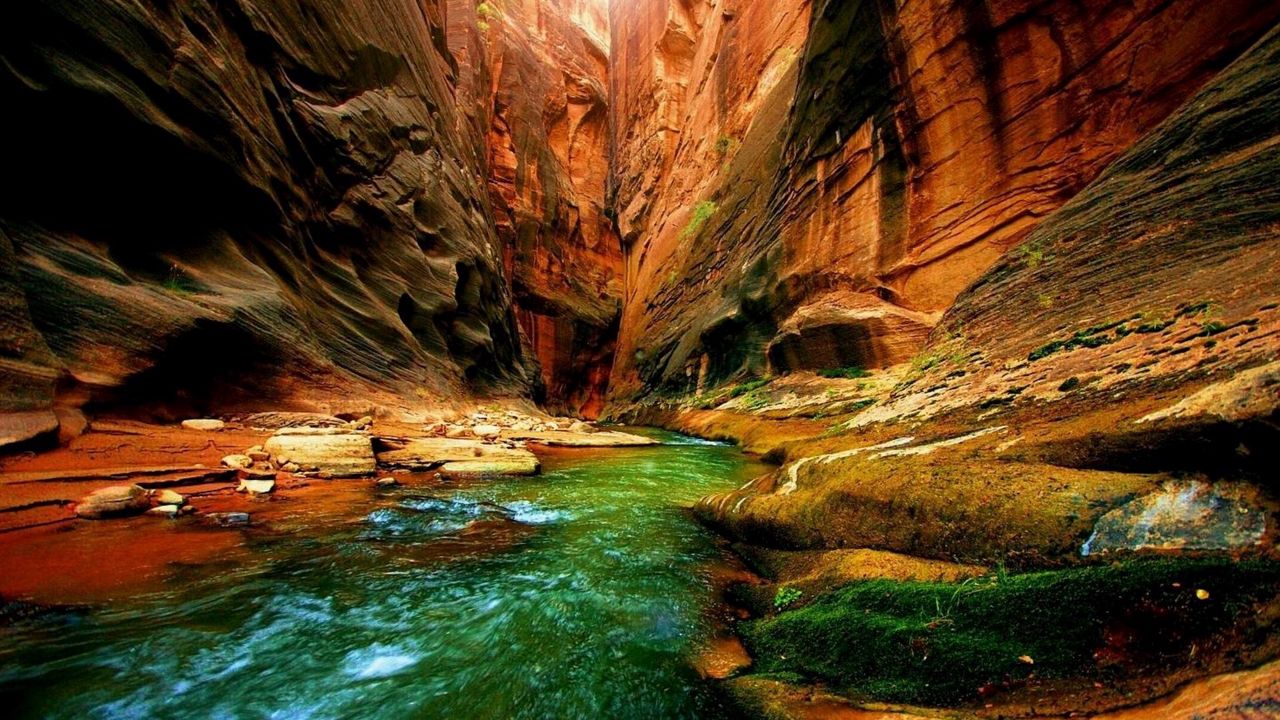 Wallpaper canyon, gorge, river, moss, greens