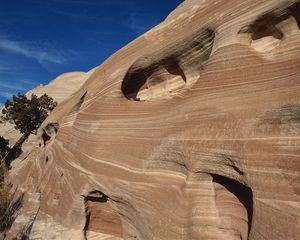 Preview wallpaper canyon, lines, strips, holes, trees