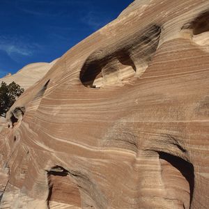 Preview wallpaper canyon, lines, strips, holes, trees