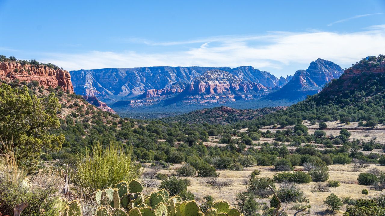 Wallpaper canyon, prairie, cacti, bushes, rocks