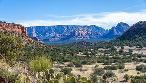 Preview wallpaper canyon, prairie, cacti, bushes, rocks