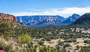 Preview wallpaper canyon, prairie, cacti, bushes, rocks