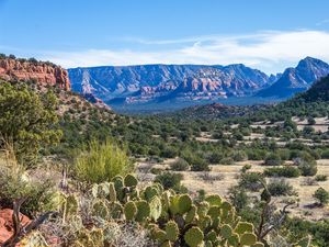 Preview wallpaper canyon, prairie, cacti, bushes, rocks