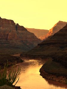 Preview wallpaper canyon, river, sunset, rocks, plants