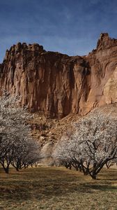 Preview wallpaper canyon, rock, garden, trees, bloom, spring