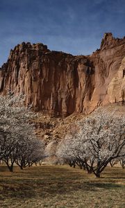 Preview wallpaper canyon, rock, garden, trees, bloom, spring