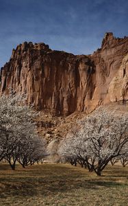 Preview wallpaper canyon, rock, garden, trees, bloom, spring