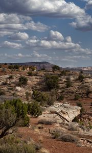 Preview wallpaper canyon, rocks, bushes, landscape, nature