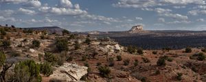 Preview wallpaper canyon, rocks, bushes, landscape, nature