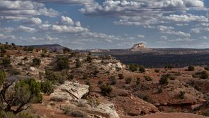 Preview wallpaper canyon, rocks, bushes, landscape, nature