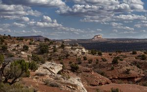 Preview wallpaper canyon, rocks, bushes, landscape, nature